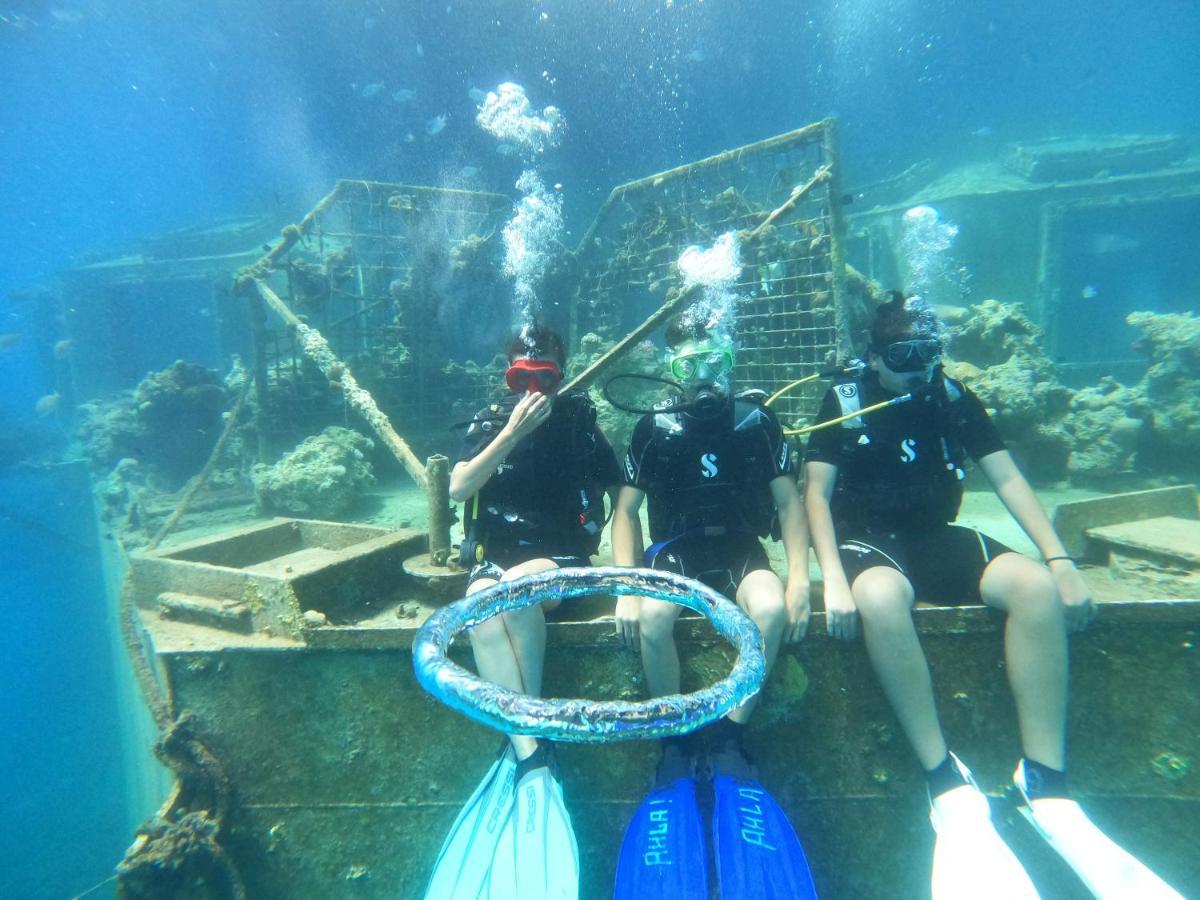 Dive Time לינה וארוחת בוקר *