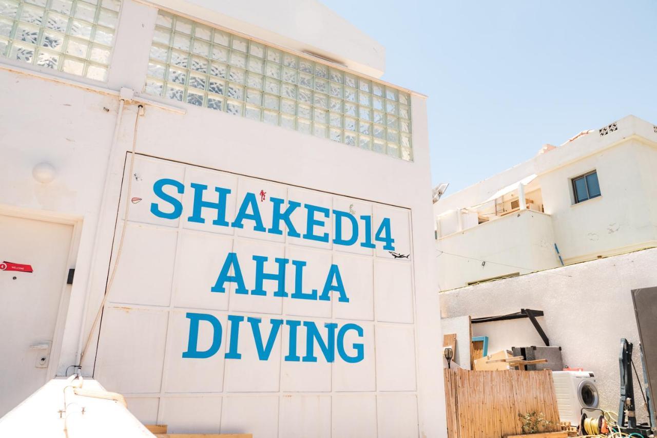 Dive Time * Eilat