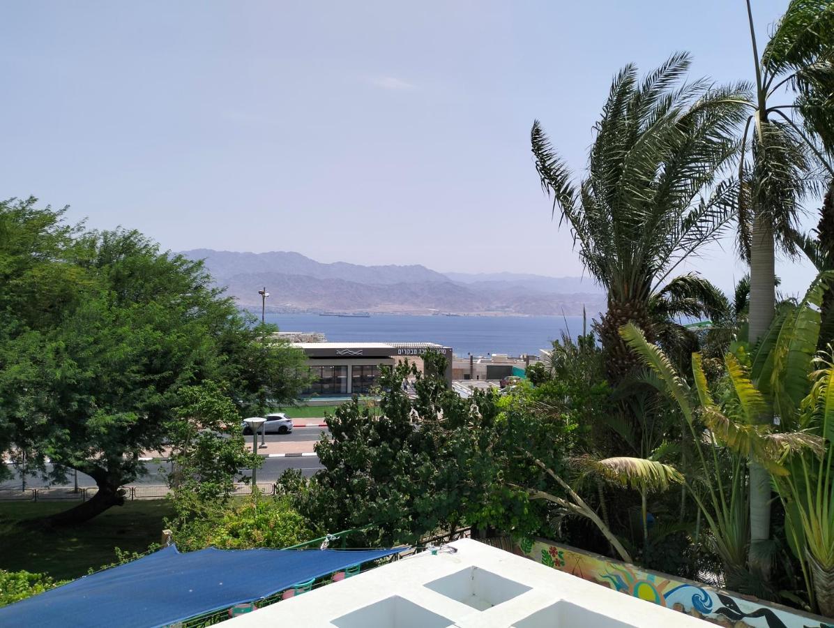Dive Time Eilat